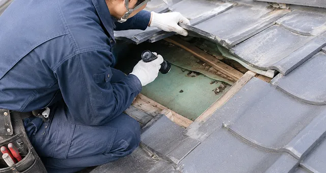雨漏りの原因箇所を確認する職人